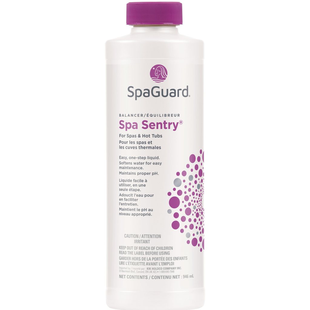 Spa Sentry SpaGuard